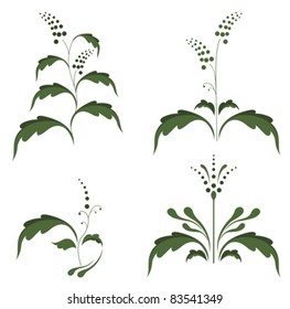 Silhouettes of plants. Vector illustration
