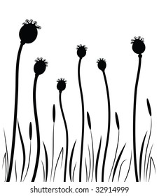 Silhouettes of poppys with grass.