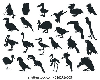  Silhouettes premium vector template birds species animal characters big set