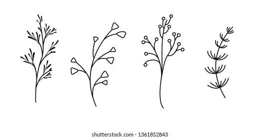 Silhouettes ramification of garden and field plant. Set of line objects isolated on white background.