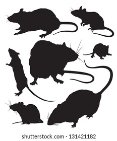 Silhouettes Of The Rats Vector