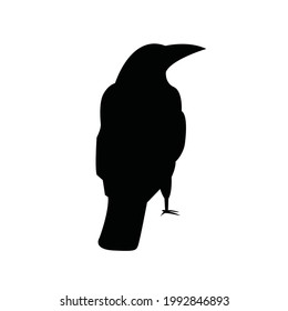 Silhouettes of raven.Isolated image on a white background. Black outline of birds for your design. Vector illustration