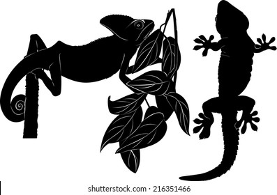 silhouettes of reptiles isolated on white background