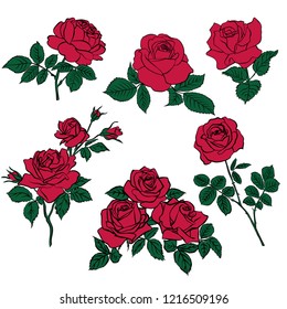 silhouettes of rerd roses and green leaves isolated on white background. Vector illustration.