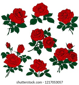 silhouettes of rerd roses and green leaves isolated on white background. Vector illustration.