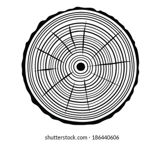 Silhouettes of rings of trunk 2, vector illustration
