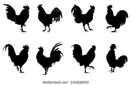 Silhouettes of Rooster chicken. vector Illustration