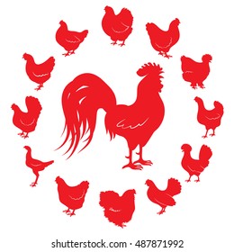 Silhouettes of rooster and chickens of different breeds isolated on a white background.