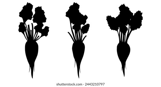 Silhouettes of roots vegetables. Black and white roots isolated on white background. Silhouettes of white beet