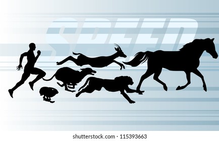 silhouettes of the runners