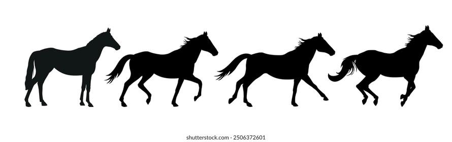 Siluetas de un caballo corriendo en varias marchas. Ciclo de carreras de caballos. Caminando trotando y galopando a caballo. Ilustración vectorial aislada en un fondo blanco