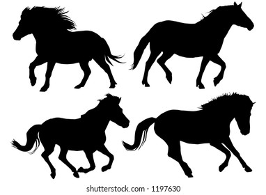 silhouettes of running horses