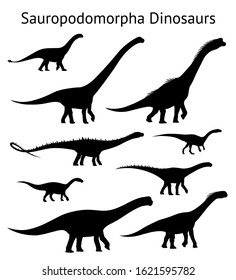 Silhouettes of sauropodomorpha dinosaurs. Set. Side view. Monochrome vector illustration of black silhouettes of dinosaurs isolated on white background. Sauropoda. Proportional dimensions.