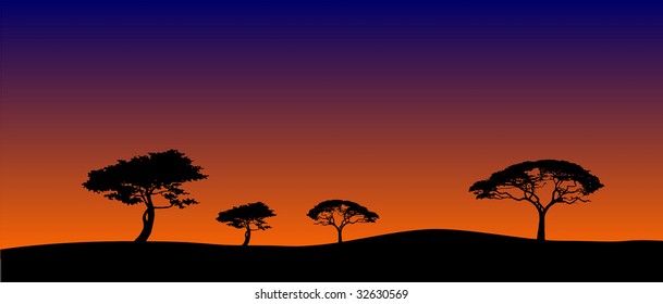 Silhouettes of savanna trees in sunset