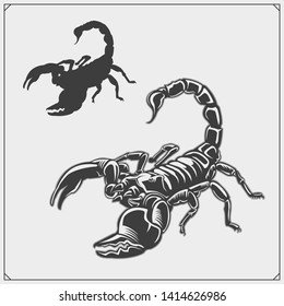 Silhouettes of a scorpion. Scorpions emblems and icons. Print design for t-shirt. Tattoo design.