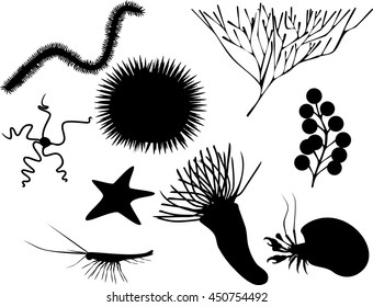 silhouettes of sea animal

