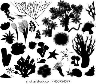 silhouettes of sea animal