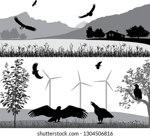 Silhouettes of sea eagles against the landscape and outdoors