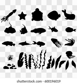 Silhouettes of sea fish, whale, squid, turtle, sea star, algal dolphin. Big set sea  Aquarium animals black and white illustration on transparent background.
