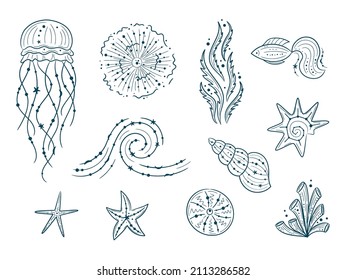 Silhouettes Of Sea Life Outline Isolated On White Background. Vector Hand Drawn Illustrations Of Engraved Line. Collection Of Sketches Jellyfish, Fish, Seaweed, Seashells.