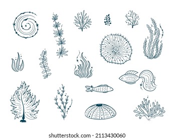 Silhouettes of sea life outline isolated on white background. Vector Hand drawn illustrations of engraved line. Collection of sketches jellyfish, fish, seaweed, corals, seashells, sea urchin.