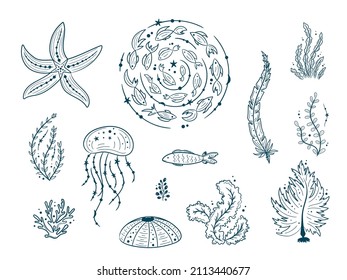 Silhouettes of sea life outline isolated on white background. Vector Hand drawn illustrations of engraved line. Collection of sketches jellyfish, fish, seaweed, corals, seashells, sea urchin.