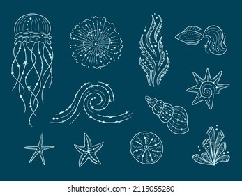 Silhouettes of sea life outline isolated on dark blue background. Vector Hand drawn illustrations of engraved line. Collection of sketches jellyfish, fish, seaweed, seashells.