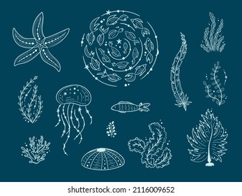 Silhouettes of sea life outline isolated on dark background. Vector Hand drawn illustrations of engraved line. Collection of sketches jellyfish, fish, seaweed, corals, seashells, sea urchin.