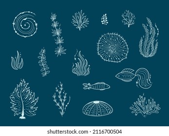 Silhouettes of sea life outline isolated on dark blue background. Vector Hand drawn illustrations of engraved line. Collection of sketches jellyfish, fish, seaweed, corals, seashells, sea urchin.