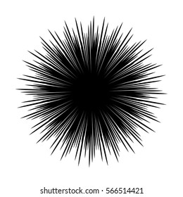 Silhouettes of sea urchin animals isolated black and white vector illustration minimal style