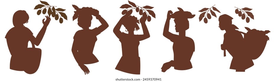 Conjunto de siluetas de personajes femeninos cosechando café, Ilustración vectorial aislada sobre un fondo blanco. Contorno de siluetas de las mujeres que recogen granos de café para el diseño de envases.