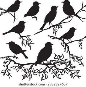 Silhouettes set a flock of birds perched on top of a tree branch vector