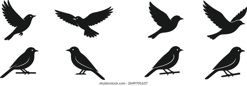 Silhouettes of several birds in flight and at rest, illustrating their diverse forms and movements against a plain background. This visual captures the essence of avian life.