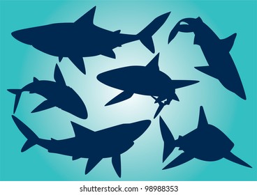 Seamless Pattern Water Predatory Fish Shark Stock Vector (Royalty Free ...