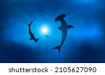 Silhouettes of sharks in blue water in the rays of the sun. Background with hammerhead shark. Vector illustration EPS10.