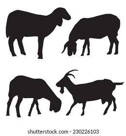 Silhouettes of sheep, lambs and goat vector