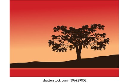 Silhouettes of single trees with res background