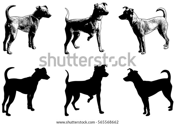 ミニピンチャー犬のシルエットとスケッチイラスト ベクター画像 のベクター画像素材 ロイヤリティフリー