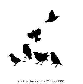 Silhouettes of small birds standing and flying. hand drawing. Not AI, Vector illustration.