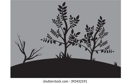 Silhouettes of small tree