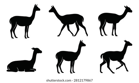 Vicuña silhouettes, South American camelid vector graphics on a white background