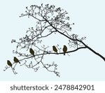 Silhouettes of sparrows birds sitting on deciduous tree branches in spring forest, vector illustration, nature bckground