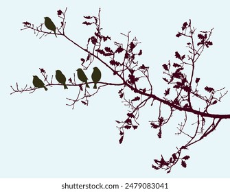 Silhouettes of sparrows birds sitting on oak branches in autumn forest, vector illustration, nature bckground