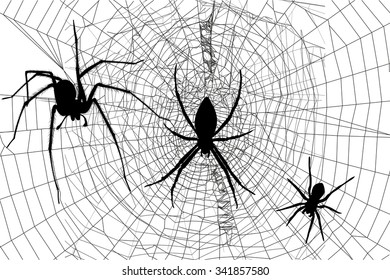silhouettes spiders and spider web