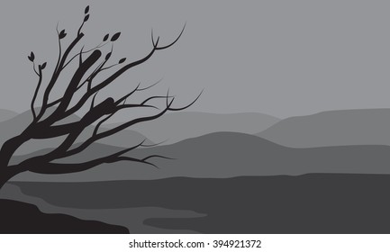 Silhouettes of spring tree on the lake