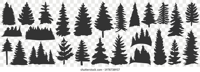 Silhouettes of spruce and pine doodle set. Collection of hand drawn various black silhouettes of forest trees pine trees in rows isolated on transparent background 
