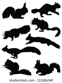 Silhouettes of squirrels-vector