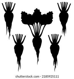 Silhouettes of sugar beets. Black and white roots isolated on white background. Vector illustration.