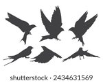 silhouettes swallows flying birds. black isolated white background