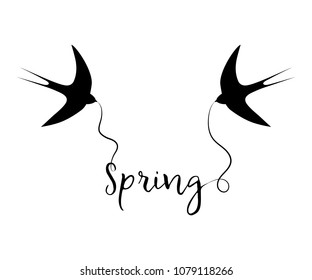 Silhouettes of swallows with the text "Spring". "Spring came" concept. Vector illustration in black and white colors.